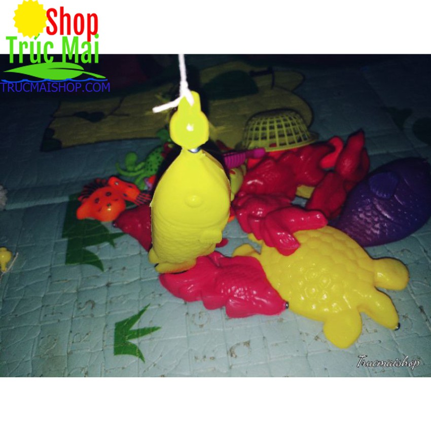 Set đồ chơi câu cá trên cạn 1kg cá 2 cần full bộ
