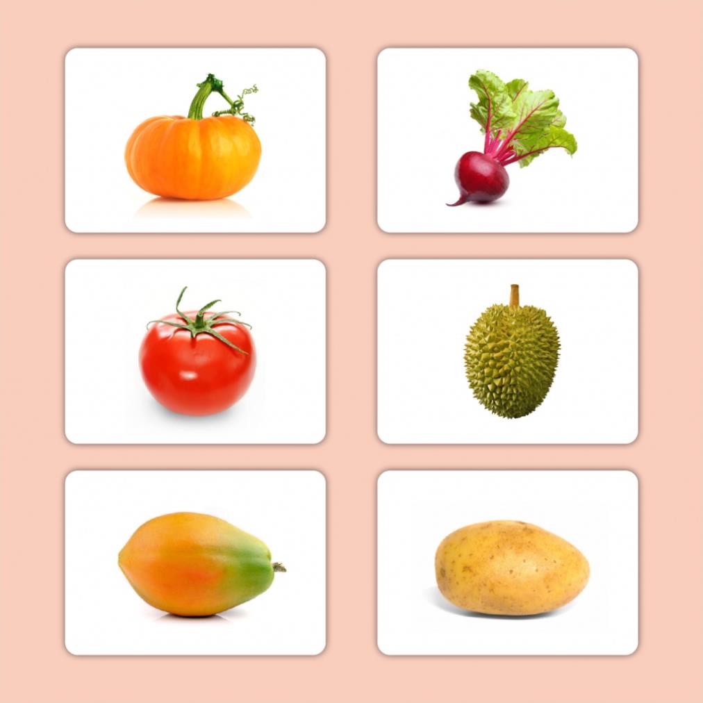 GDkids - Bộ Thẻ Học Thông Minh Cho Bé - Flashcard Giáo Dục Sớm Glenn Doman