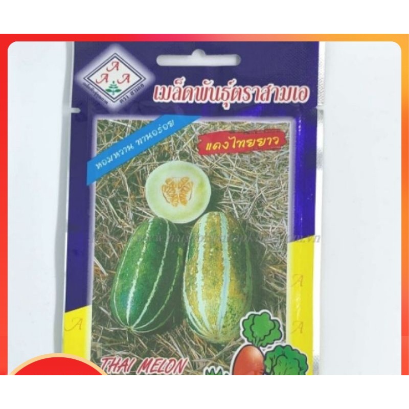 Hạt giống dưa bở thơm trái dài siêu quả nhập Thái lan nhập nguyên gói 1 gr ~ 60 hạt