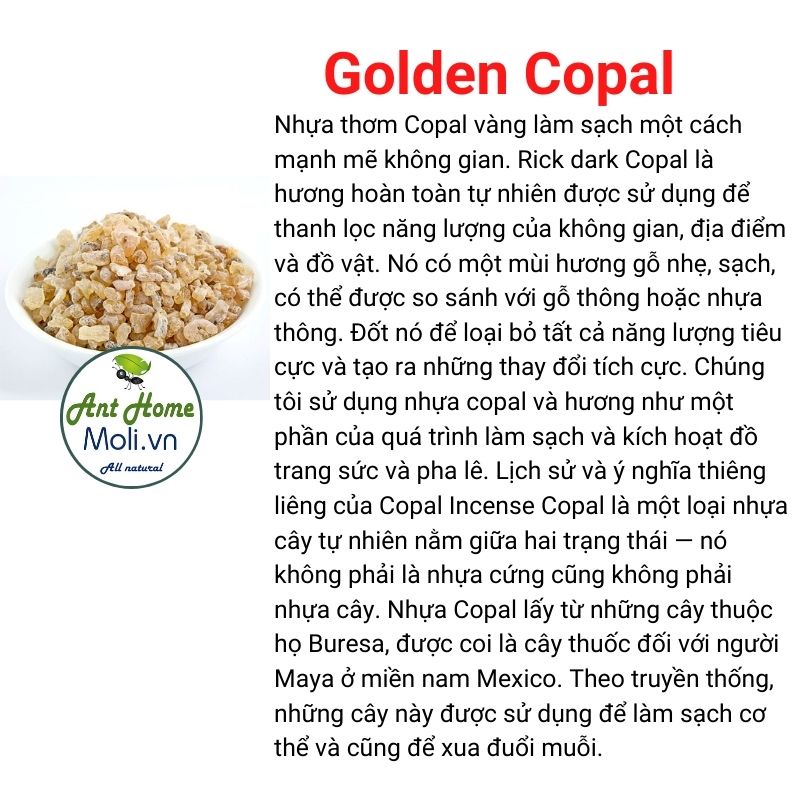 Nhụa thơm vàng Golden Copal Resin Incense bảo vệ và làm sạch nhà cửa
