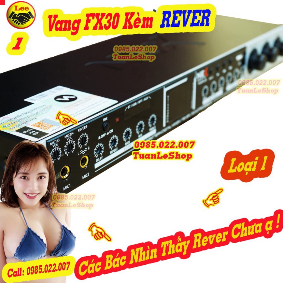 VANG CƠ NEX FX30 PLUS CÓ REVER CAO CẤP – VANG KARAOKE