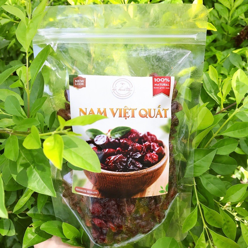 100G NAM VIỆT QUẤT NHẬP KHẨU SẤY DẺO KHÔ HP HEALTHY | BigBuy360 - bigbuy360.vn
