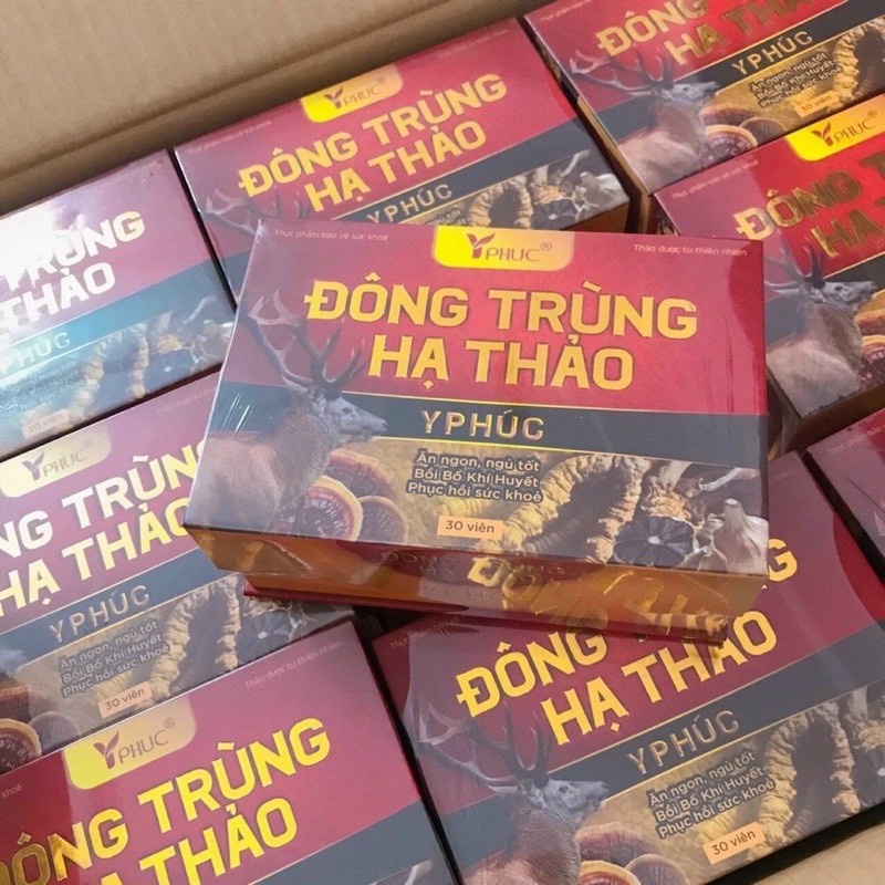 [Mẫu mới] ĐÔNG TRÙNG HẠ THẢO Y Phúc - Giúp Tăng sức đề kháng, phòng ngừa ung thư và các bệnh về thận, tim, phổi