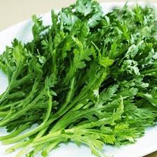 HẠT GIỐNG RAU CẢI CÚC GÓI 15GR