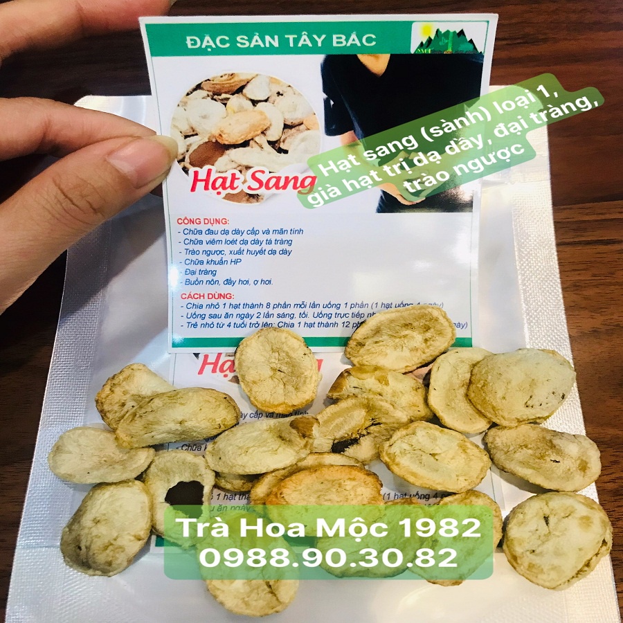 HẠT SÀNH (HẠT SANG) RỪNG LOẠI GIÀ, RUỘT TRẮNG, (12K/HẠT) BÁN TỪ 10 hạt