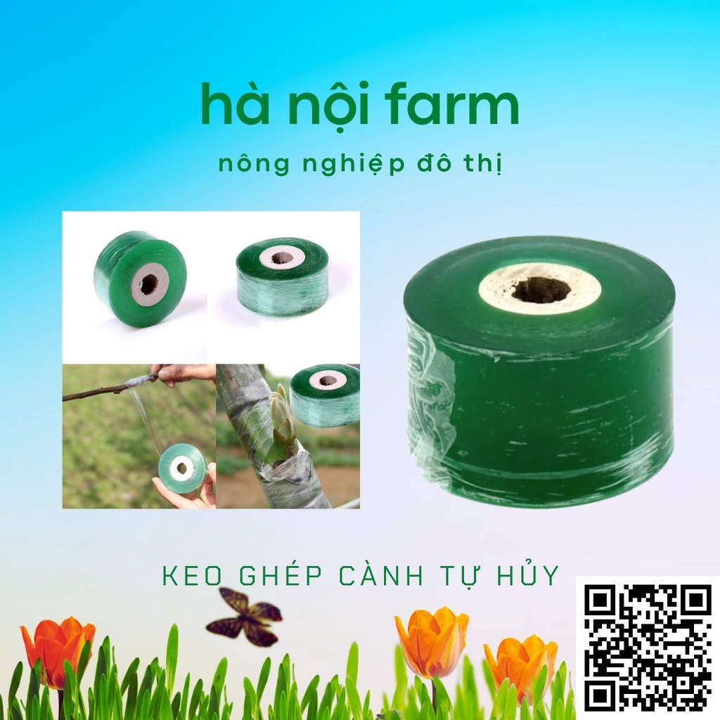 Cuộn băng keo, băng dính cây. tự dính có thể kéo căng dùng để ghép cành cây cảnh tiện dụng