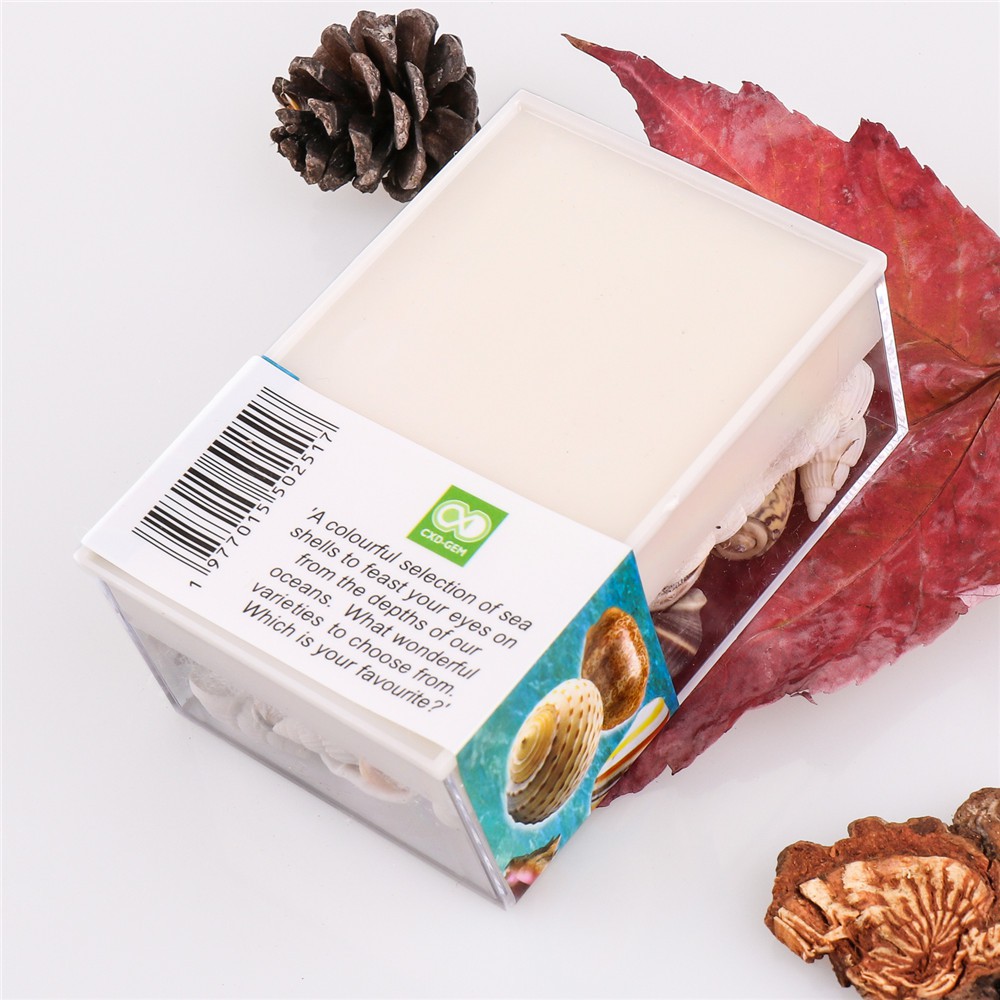 1 Hộp Bọt Biển Tự Nhiên Hình Vỏ Sò / Sao Biển Dùng Trang Trí Nhà Cửa