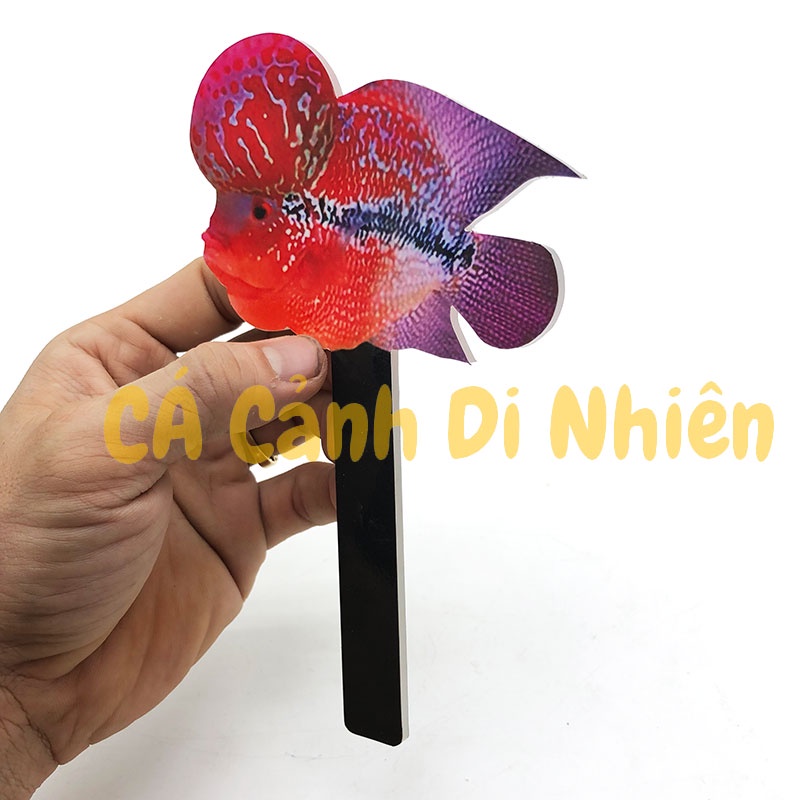 Cây kè cá la hán bằng nhựa mica cầm tay hình cá la hán