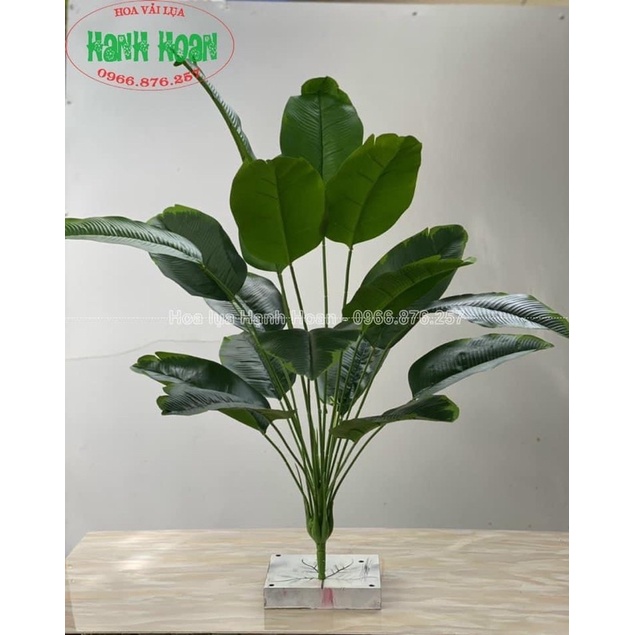 CÂY CHUỐI SINGAPORE 18 LÁ CAO 81 CM NHẬP KHẨU CAO CẤP - CÂY GIẢ DECOR