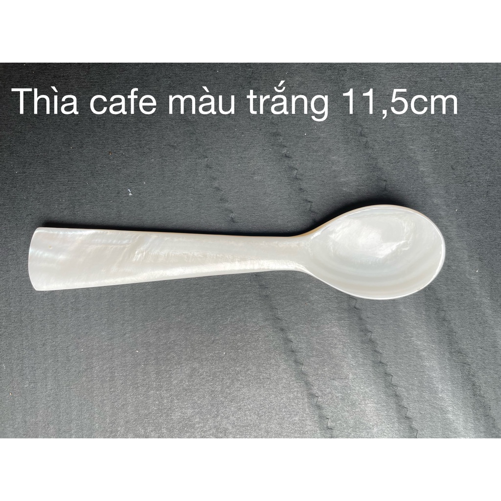 Thìa làm từ vỏ ốc biển xà cừ dài 11.5cm