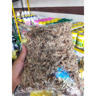 Rêu sâu ChiLe 5sao -Hàng nhập khẩu loại 1 - Nhử rễ cây -Giữ ẩm tốt, chống nấm bệnh