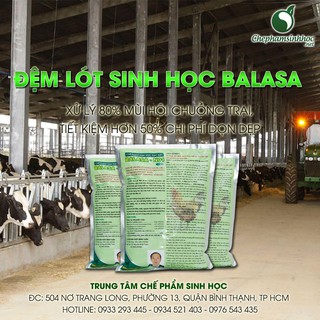 Đệm lót sinh học balasa n01