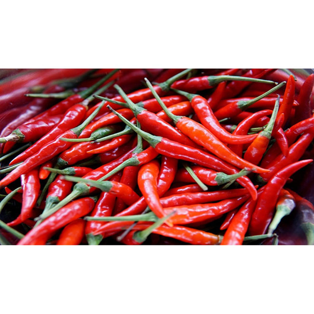 ớt trái đà lạt 10k [ 100gr] ớt trái