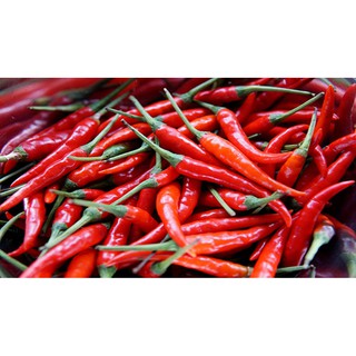 ớt trái, hành lá, tỏi [100gr] trái ớt