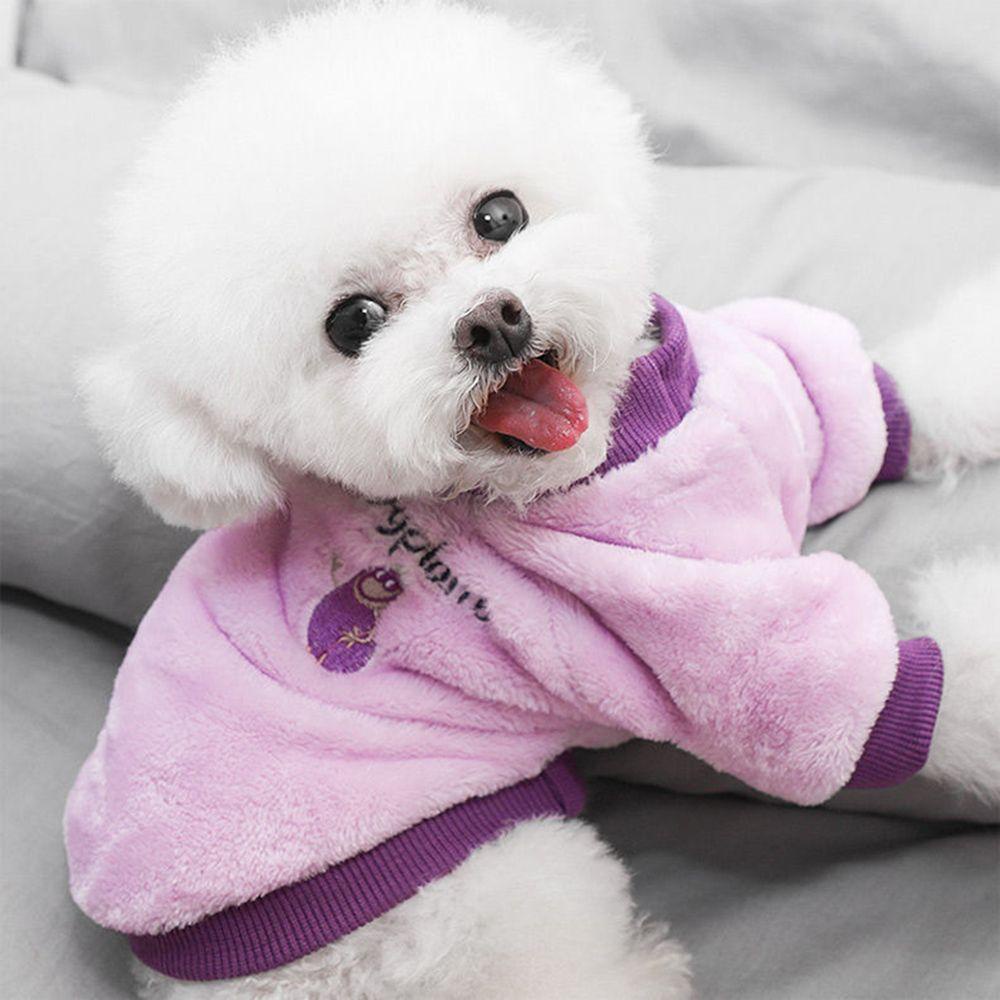 Áo Khoác Sweater Vải Nhung San Hô Nhỏ Nhắn Thời Trang Mùa Đông Xinh Xắn Cho Thú Cưng
