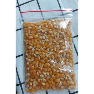 set bỏng ngô/bắp rang bơ + bơ
