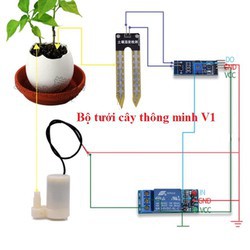 Bộ Máy Bơm Tưới Cây Thông Minh Mini
