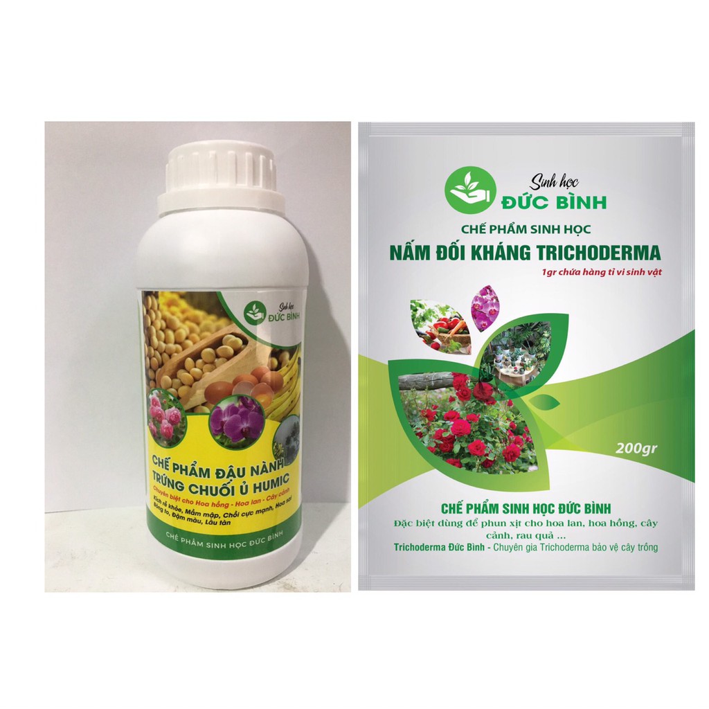 Combo đậu tương trứng chuối humic và trichoderma siêu phẩm tưới cho hoa hồng