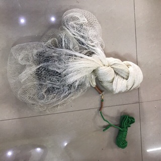 Chài bắt cá dù trắng