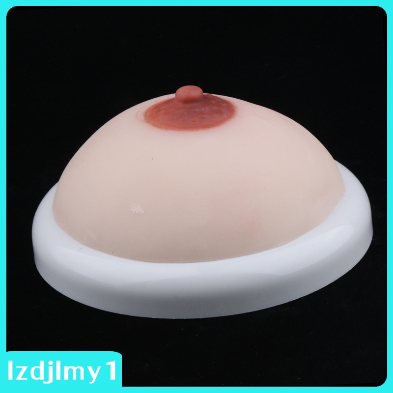 Mô hình ngực giả bằng silicon hỗ trợ giảng dạy
