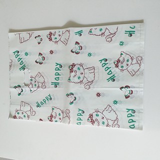 1 Kg túi hạt xoài kích thước 30x45
