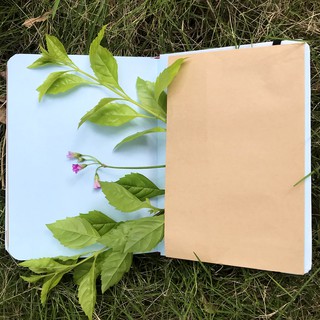 Notebook - Say Hello To Summer