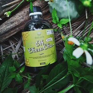 Nước trái cây lên men vị bạc hà (chai 500ml)