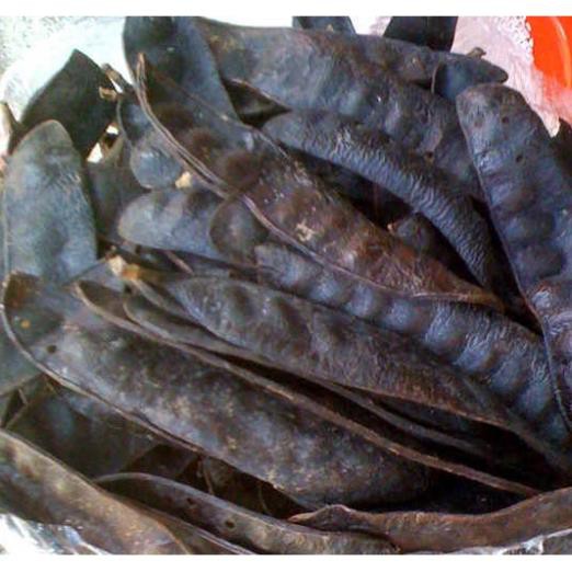 1Kg Quả Bồ kết khô mẩy, hàng loại 1