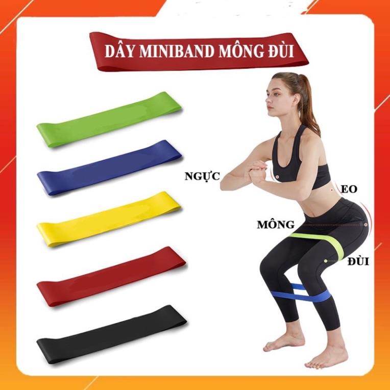 Dây Kháng Lực miniband Hỗ Trợ Tập Thể Thao, dây tập mông đùi cao su hãng Liforme/Relax- QUYENSPORTS