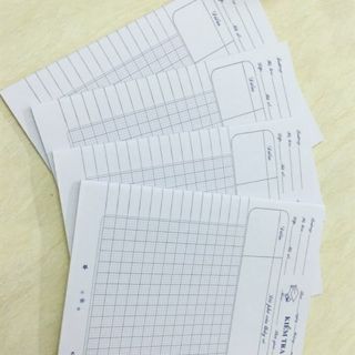 Giấy kiểm tra Định lượng 100 , loại 10 tờ
