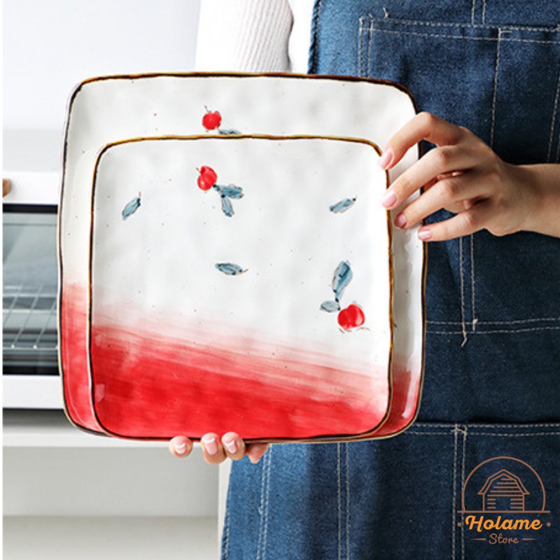 Bộ đĩa sứ decor , bát đĩa đẹp nhiều họa tiết Holame