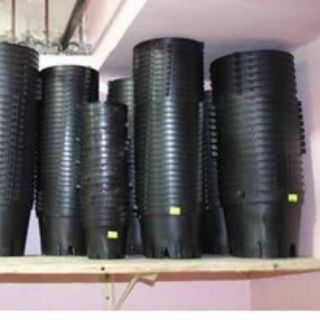 Combo10 chậu trồng lan size 18 kèm 10  mốc treo