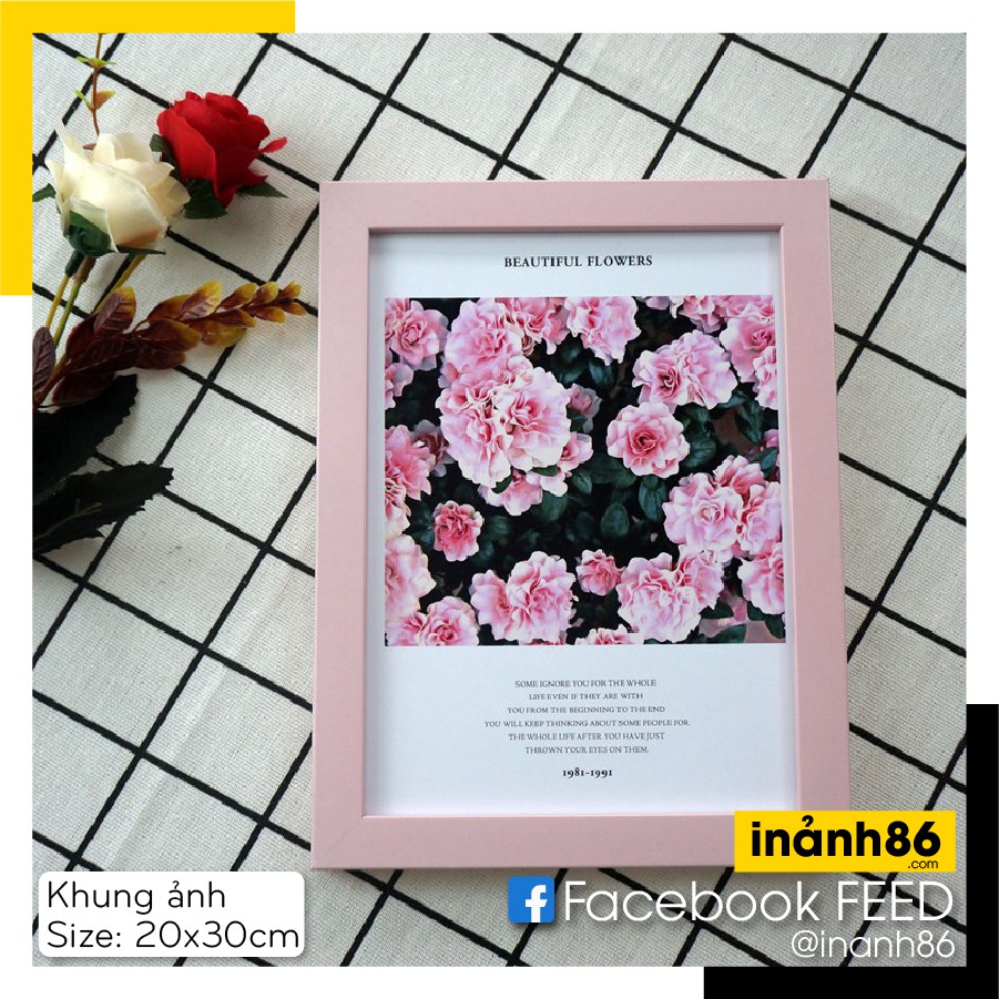 [ SIÊU RẺ ] Khung Ảnh Treo Tường 20x30 cm