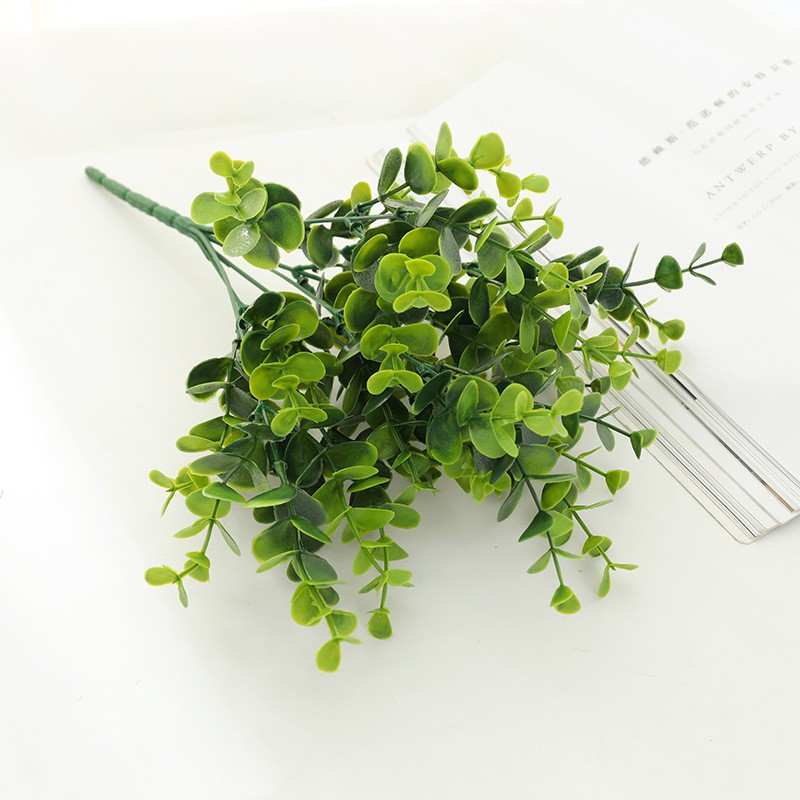 Chùm lá bạch đàn VI006, trang trí thực vật nền tường với cỏ Lá dương xỉ Ba tư cây xanh