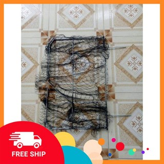 Mẹt tròn và mẹt vuông bẫy bìm bịp