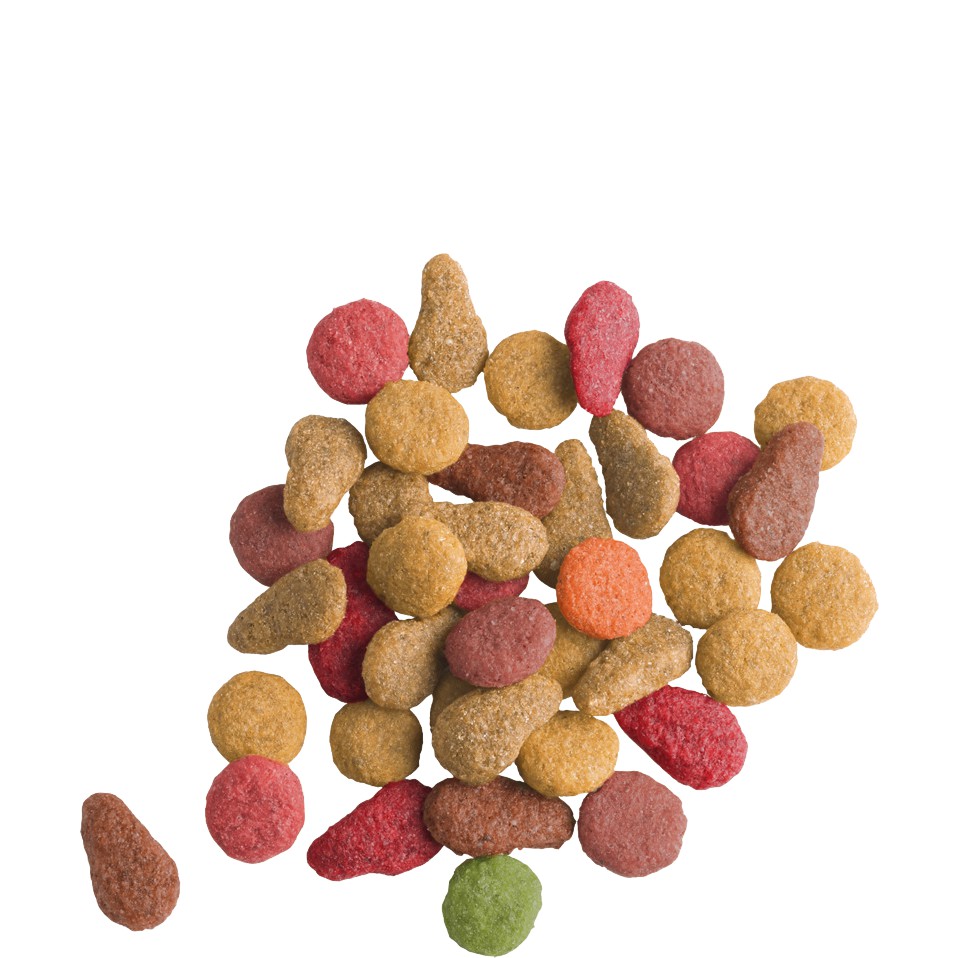 Thức Ăn Cho Mèo Trưởng Thành Vị Cá Hồi - Versele-Laga Lara Adult Salmon Bổ Sung Vitamin Và Khoáng Chất Gói 350r