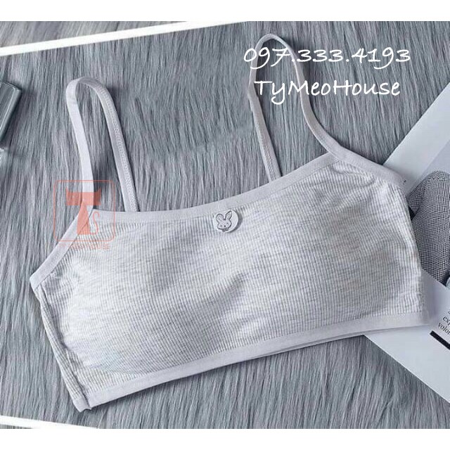 🎈Bra Cotton thun Gân học sinh 🎈