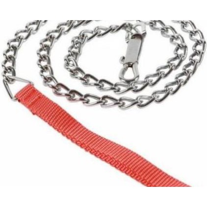 Dây xích Inox kèm vòng cổ cho chó