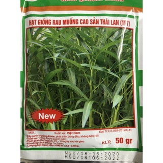 Hạt giống rau muống Thái Lan (50 gram) 🌱