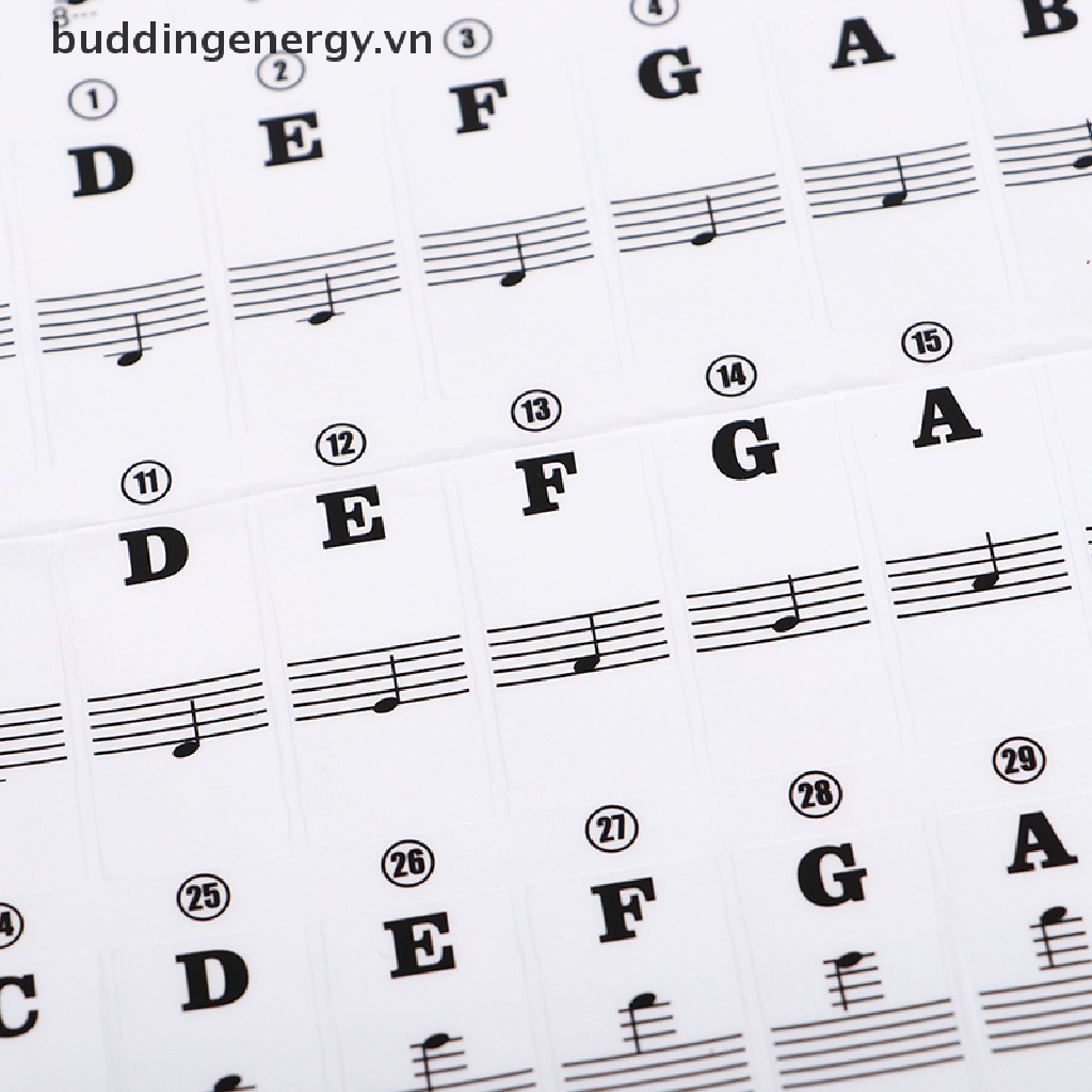 Miếng Dán Phím Đàn Piano Điện Tử 54 / 61 Phím Trong Suốt