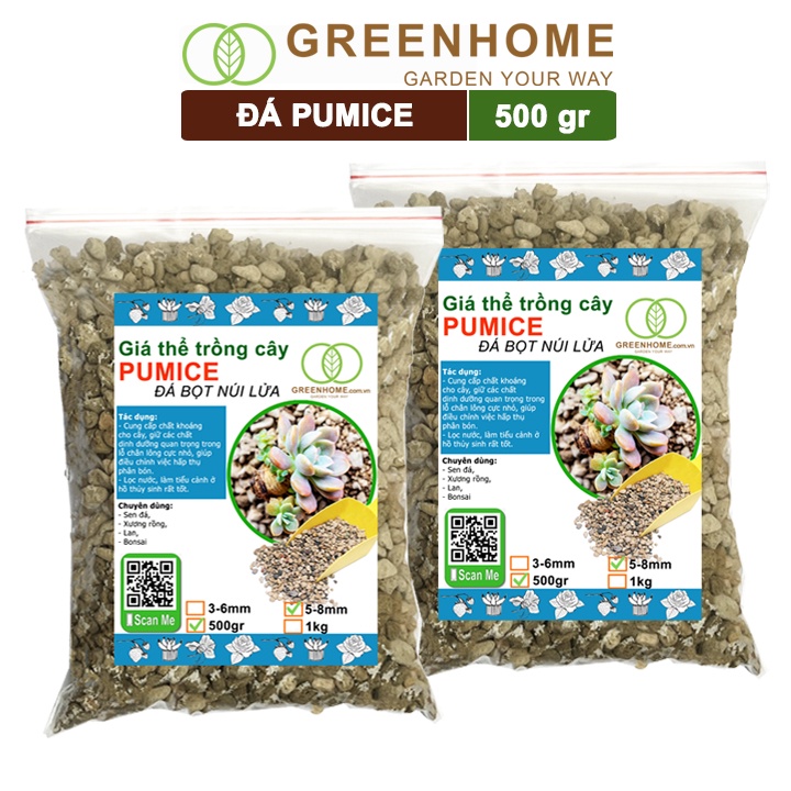 Bộ 2 Đá Pumice 5-8mm, bao 500 gr, đá bọt núi lửa, lót chậu nhỏ, trộn đất trồng sen đá, xương rồng, kiểng lá |Greenhome