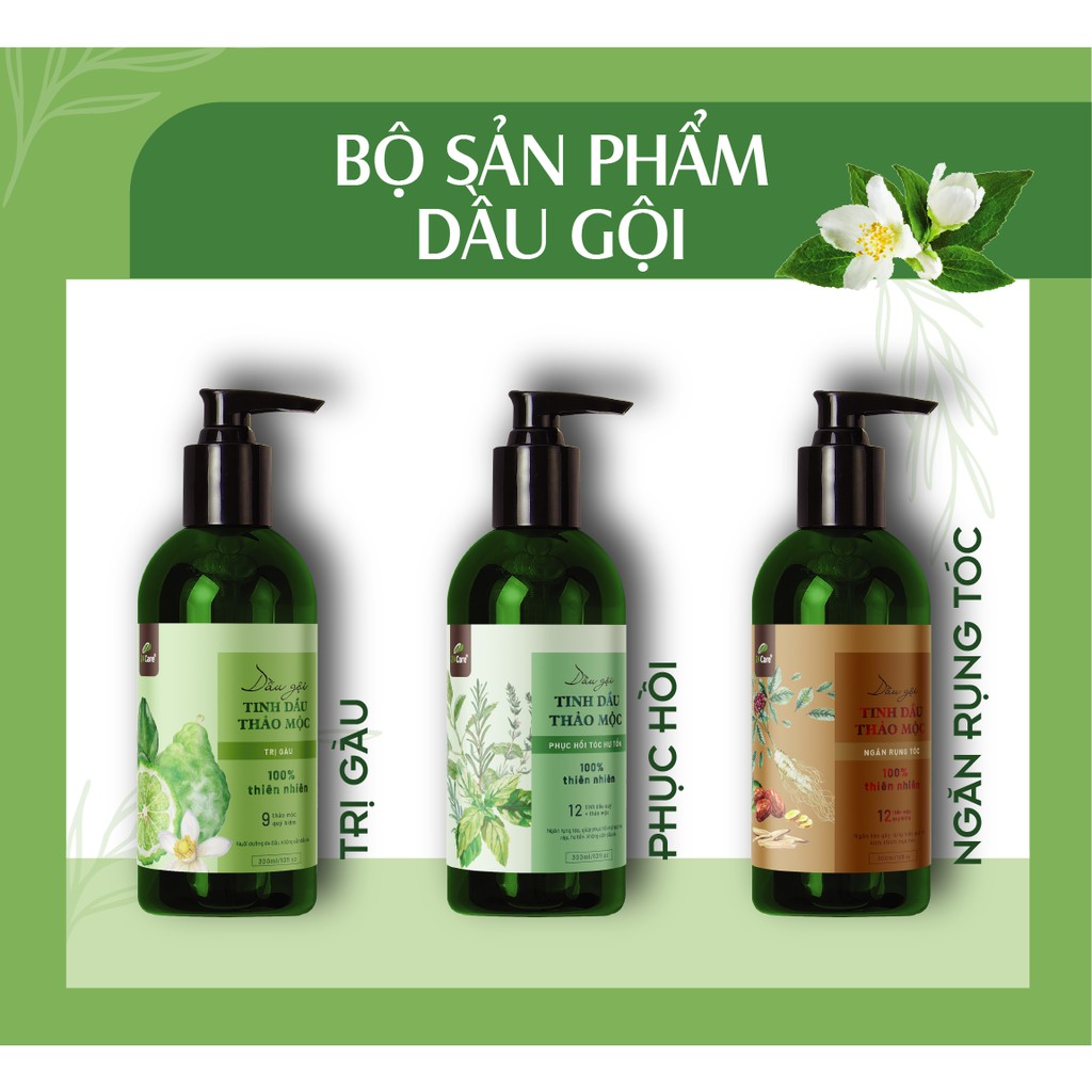 Combo 2 chai dầu gội tinh dầu thảo mộc tri gàu 24Care - CAM KẾT 3 LẦN GỘI SẠCH GÀU