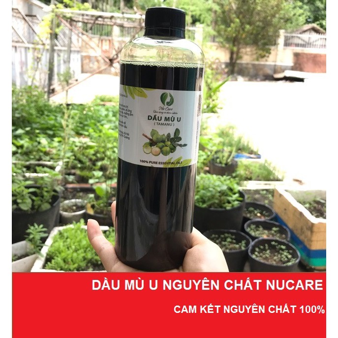 Dầu Mù U Xanh Nguyên Chất 1 Lít ( nhà làm)