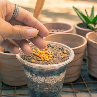 Phân chì vàng tan chậm NPK 14.14.14 gói 500gr (Vườn Sài Gòn)