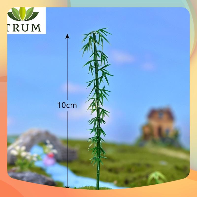 [Ảnh Tự Chụp] Cây Trúc Lớn Phụ Kiện Trang Trí Tiểu Cảnh Sen Đá Terrarium