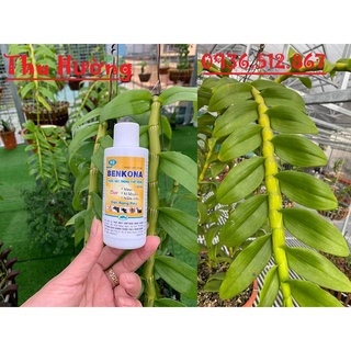 Thuốc Sát Trùng Benkona-Diệt Rong Rêu-Virus-Vi Khuẩn-Nấm Mốc