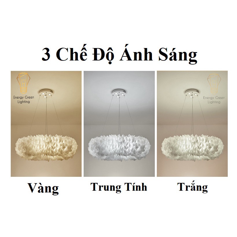Đèn Chùm Lông Vũ Vòng Tròn Energy Green Lighting 60cm Phong Cách Bắc Âu Decor  - 3 Chế Độ Ánh Sáng - Bảo hành 12 tháng