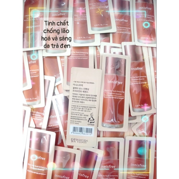 TINH CHẤT CHỐNG LÃO HOÁ BLACK TEA INNISFREE 1ml