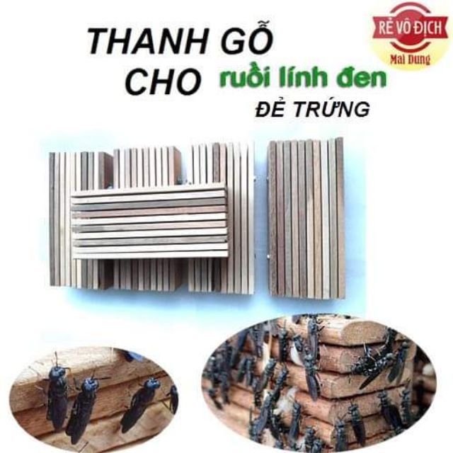Bộ 10 thanh gỗ chuẩn cho ruồi lính đen chất lượng cao