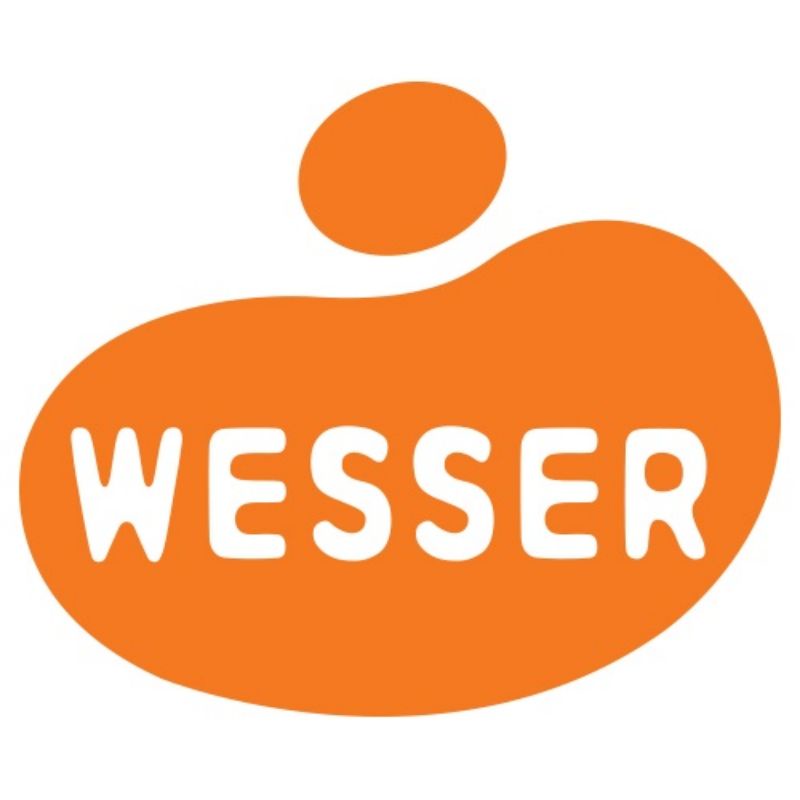 Ống hút thông minh Wesser cho bình 250ml pp/ ppsu wesser